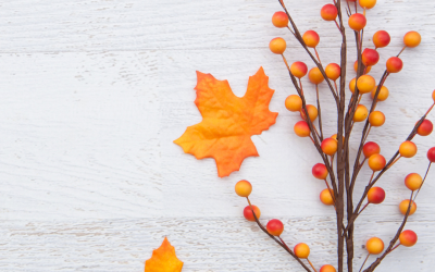Celebrating Gratitude This Thanksgiving: Meet the Heart of Engage! Travel Co.