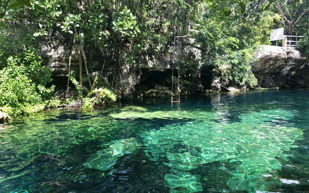 Discover the Magic of Cenotes: Mexico’s Hidden Gems