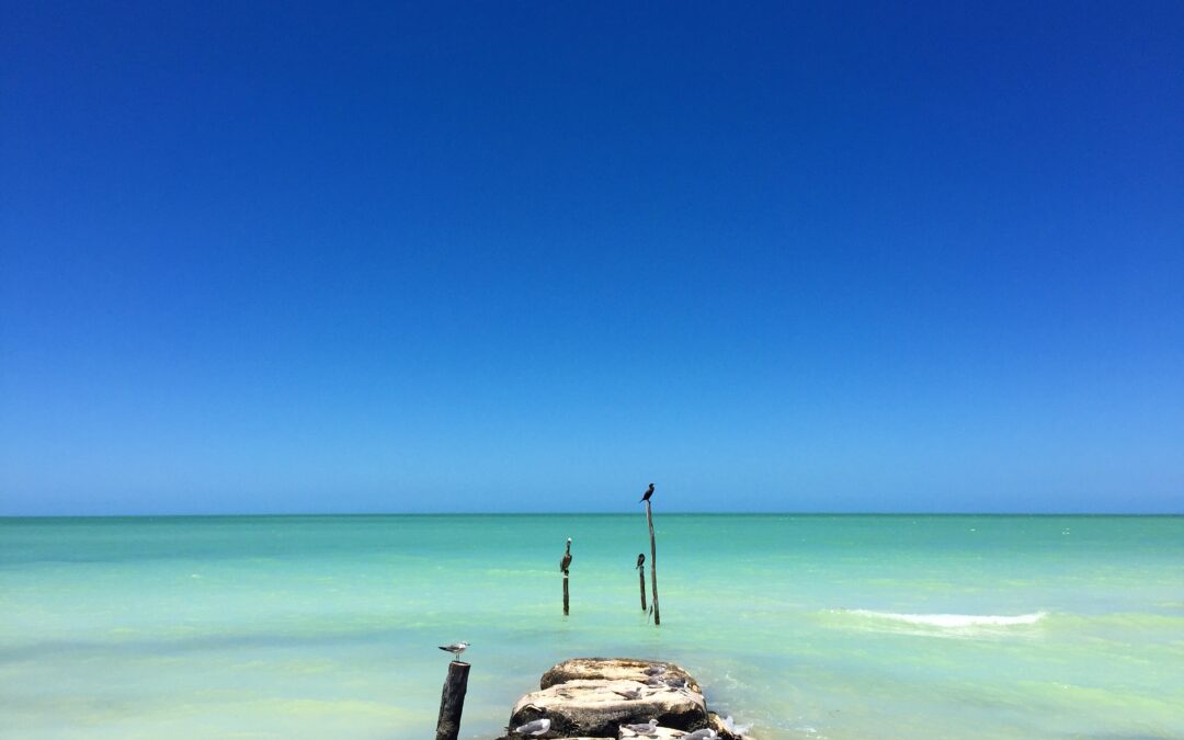 Discover Holbox Island