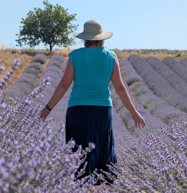 Lavender Fields